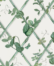 Load image into Gallery viewer, Grande Ivy Wallpaper • Irish Linen &amp; Green • Swatch