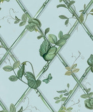 Load image into Gallery viewer, Grande Ivy Wallpaper • Light Provence • Swatch