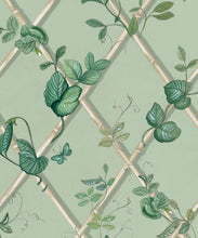 Load image into Gallery viewer, Grande Ivy Wallpaper • Sage &amp; Cane • Swatch