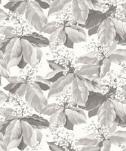 Load image into Gallery viewer, Horse Chestnut Wallpaper - Colourway: Dove - Swatch