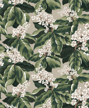Load image into Gallery viewer, Horse Chestnut Wallpaper - Colourway: Forest - Swatch