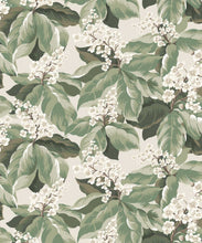 Load image into Gallery viewer, Horse Chestnut Wallpaper - Colourway: Sage - Swatch
