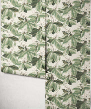 Load image into Gallery viewer, Horse Chestnut Wallpaper - Colourway: Sage - Roll