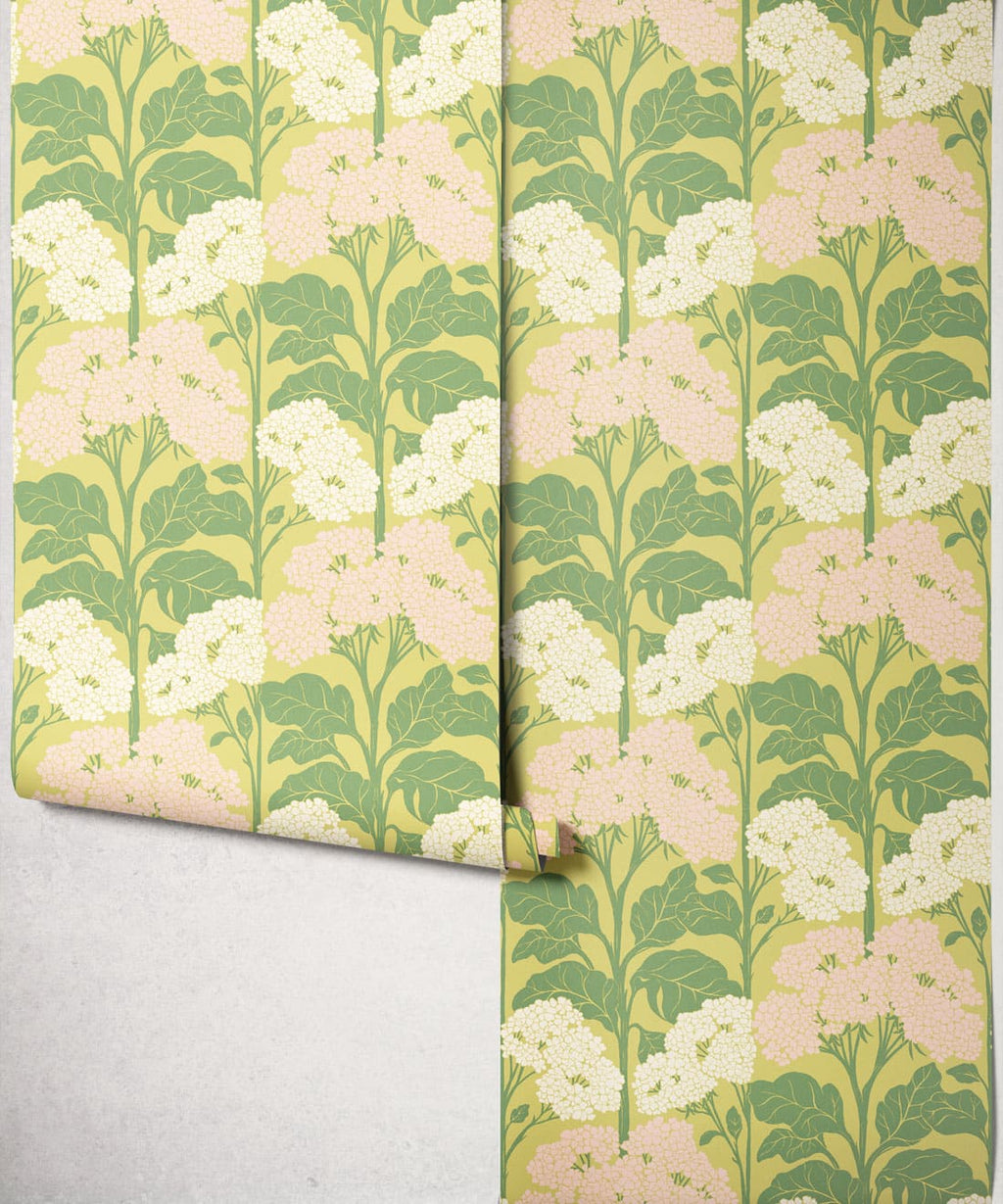 Cow Parsley Wallpaper - Colourway: Chartreuse - Roll