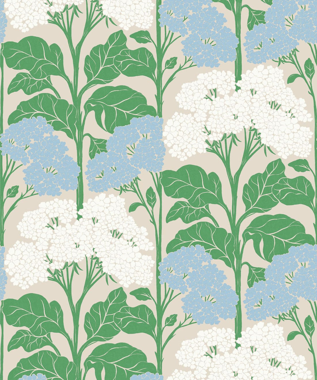 Cow Parsley Wallpaper - Colourway: Powder - Swatch