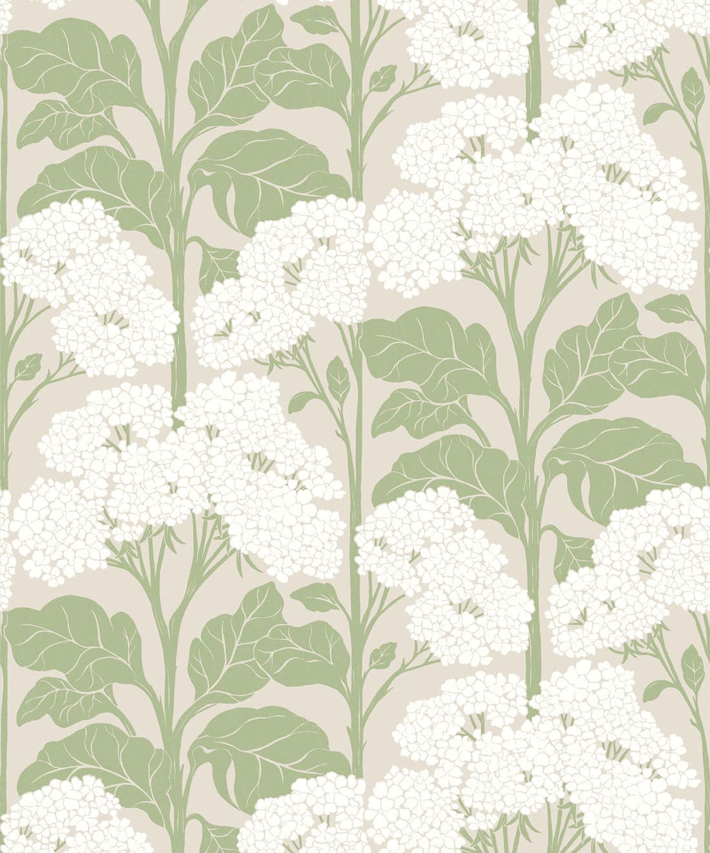 Cow Parsley Wallpaper - Colourway: Sage - Swatch