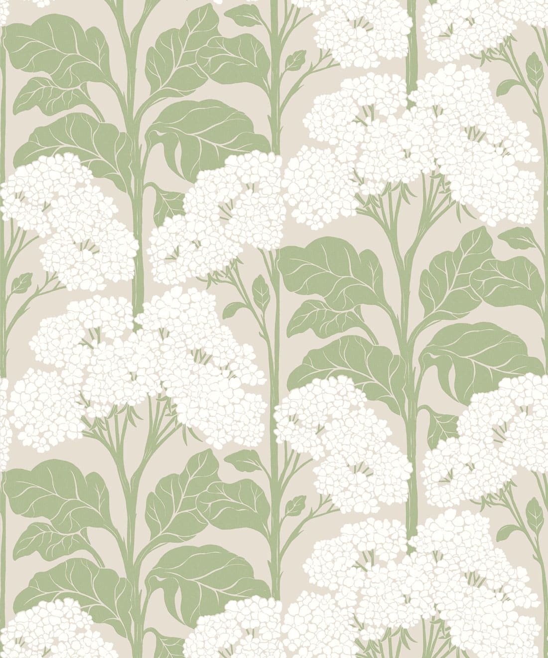 Cow Parsley Wallpaper - Colourway: Sage - Swatch
