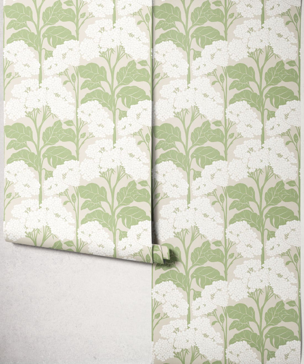 Cow Parsley Wallpaper - Colourway: Sage - Roll