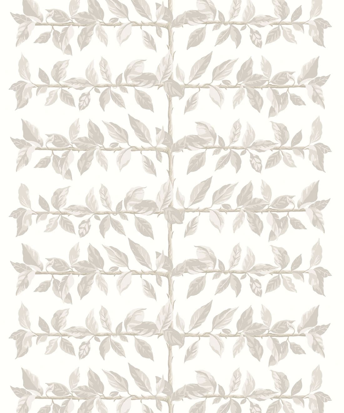 Pergola Wallpaper - Colourway: Birch - Swatch