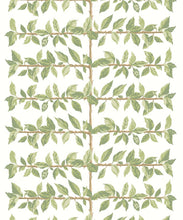 Load image into Gallery viewer, Pergola Wallpaper - Colourway: Chartreuse - Swatch