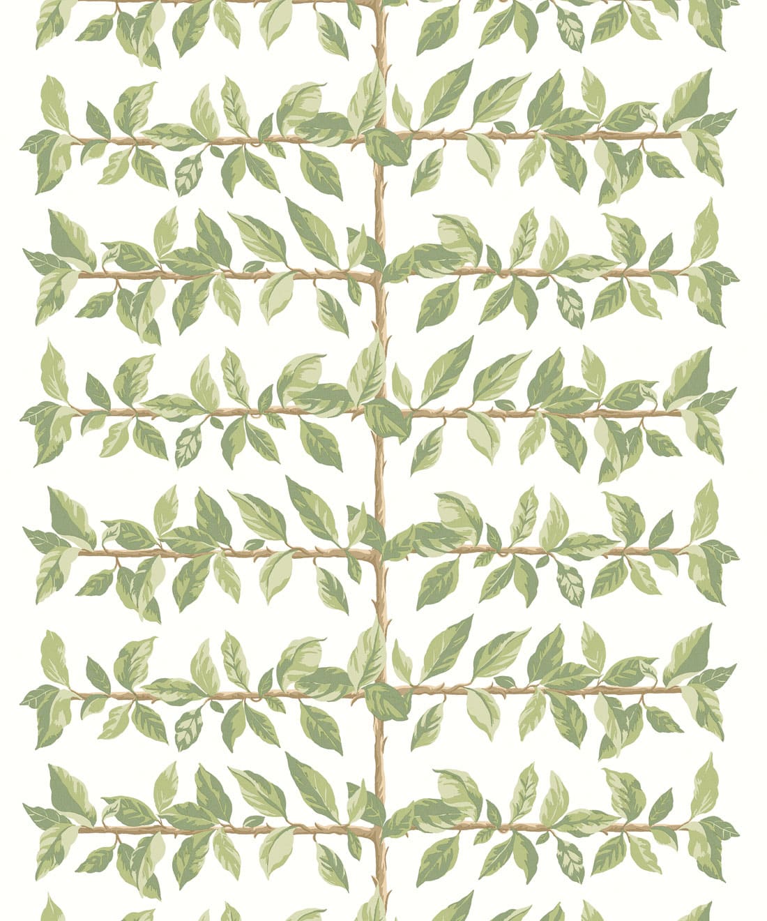 Pergola Wallpaper - Colourway: Chartreuse - Swatch
