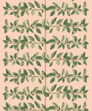 Load image into Gallery viewer, Pergola Wallpaper - Colourway: Dusky - Swatch