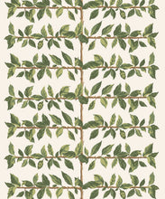 Load image into Gallery viewer, Pergola Wallpaper - Colourway: Fern - Swatch