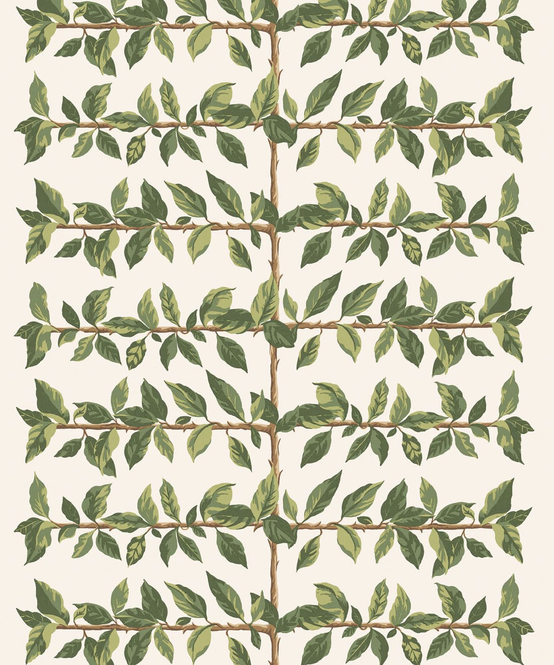 Pergola Wallpaper - Colourway: Fern - Swatch
