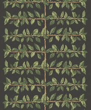 Load image into Gallery viewer, Pergola Wallpaper - Colourway: Night - Swatch