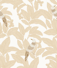 Load image into Gallery viewer, Pheasant Wallpaper • Honey Peach • Swatch