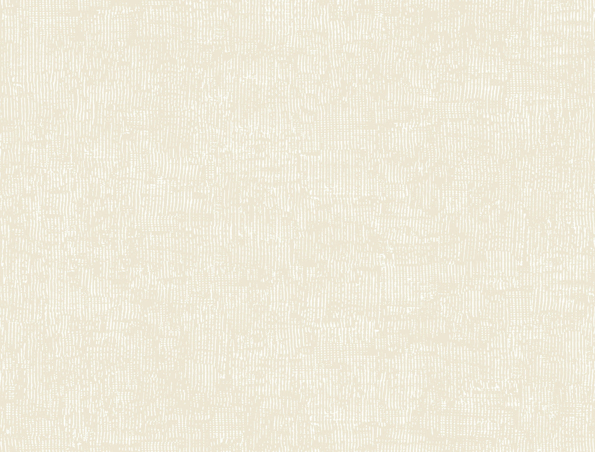 Trabadillo Plaster