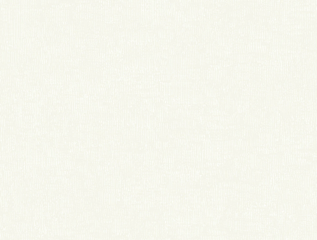 Trabadillo Plaster