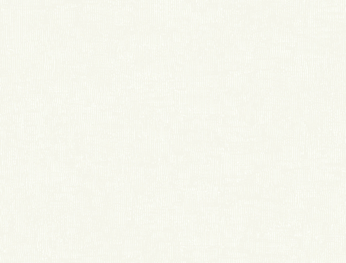 Trabadillo Plaster
