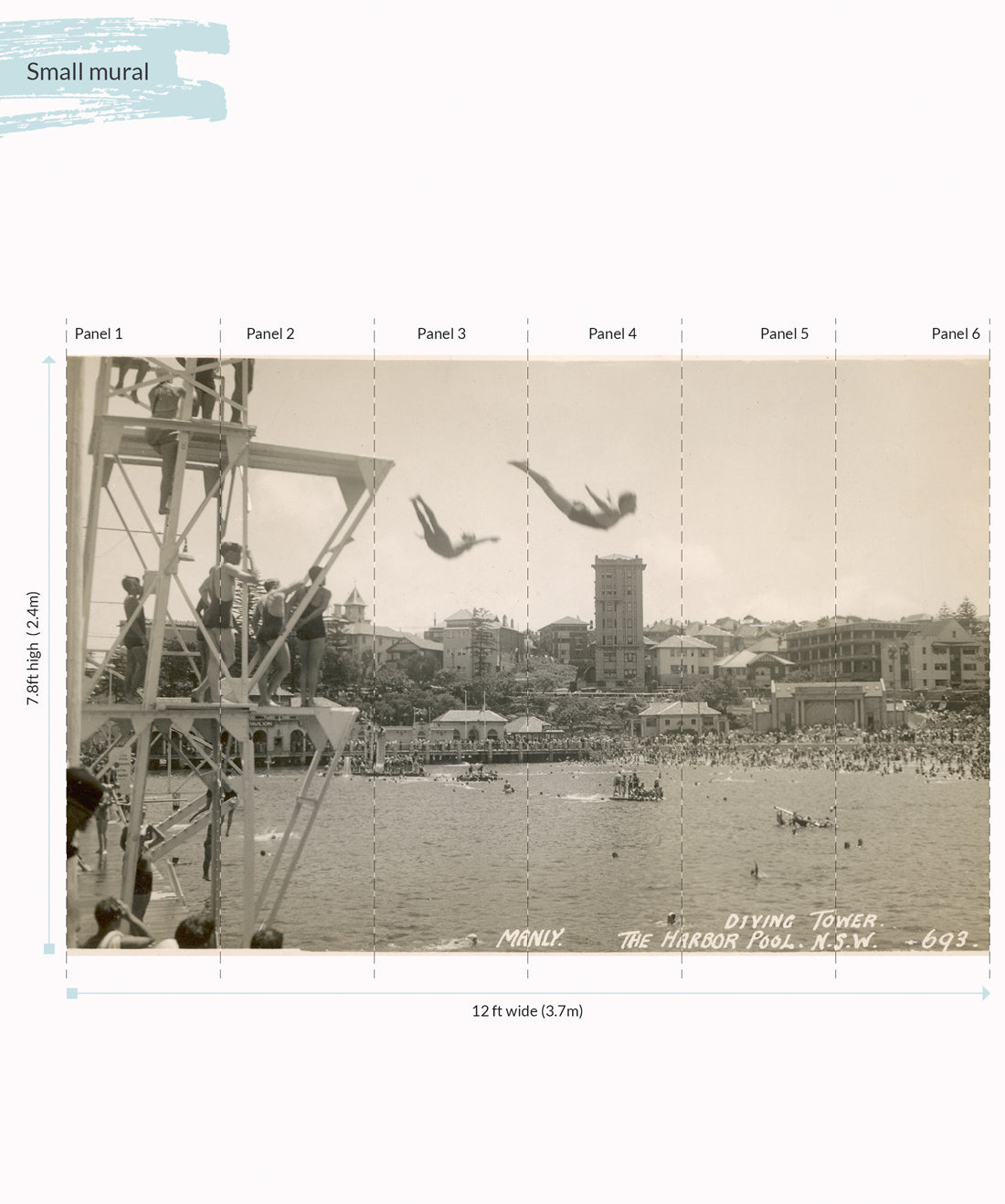 Manly High Dive is an Australian wall mural