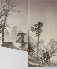 Load image into Gallery viewer, Mt Tsukuba Mist is a Japanese Wall Mural