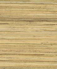 Load image into Gallery viewer, Autumn Jute Grasscloth Wallpaper - Gold