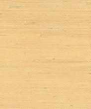 Load image into Gallery viewer, Spring Jute Grasscloth Wallpaper - Linen