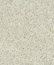 Load image into Gallery viewer, Sand Mica Grasscloth Wallpaper - Beige