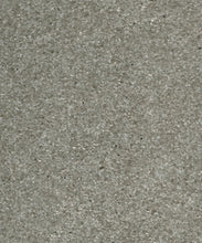 Load image into Gallery viewer, Sand Mica Grasscloth Wallpaper - Silver