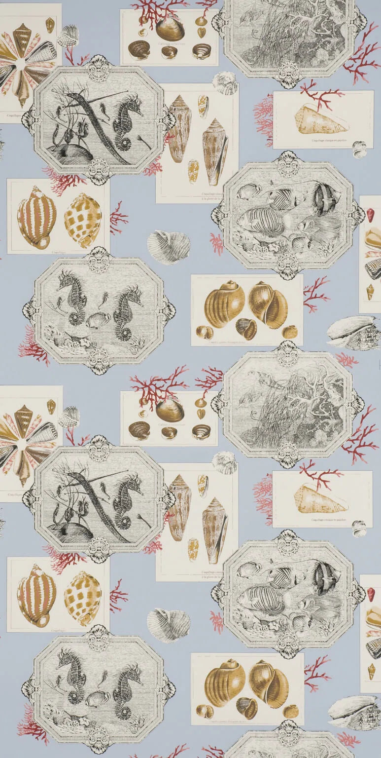 Aquarius wallpaper in Blue surf
