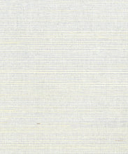 Load image into Gallery viewer, Summer Sisal Grasscloth Wallpaper - Silver