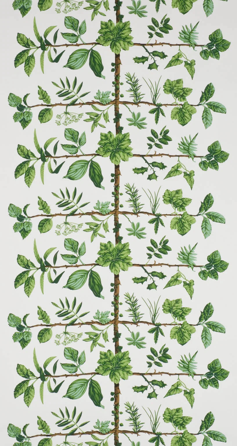 Wallpaper espalier wallpaper in Prairie