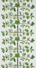 Wallpaper espalier wallpaper in Prairie