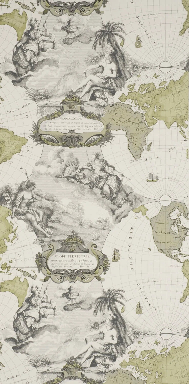 Planisphere wallpaper in Gray