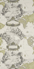Planisphere wallpaper in Gray