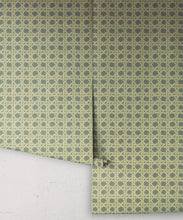 Load image into Gallery viewer, Rattan Wallpaper - Colorway: Pistachio - Poodle &amp; Blonde Collection - Roll