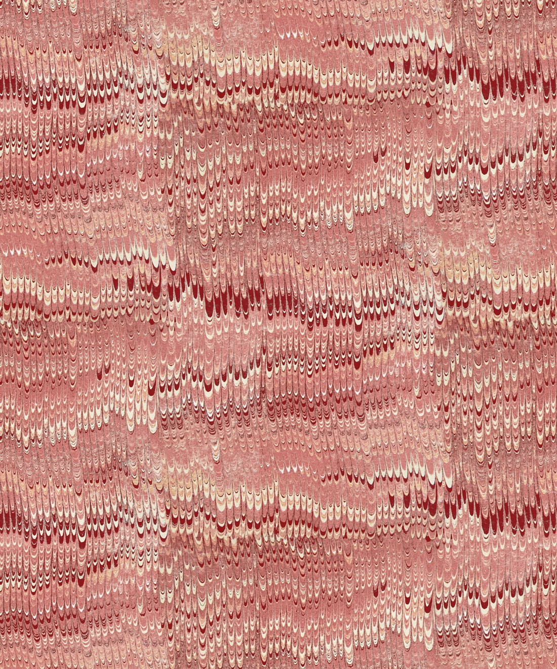 1970 Wallpaper - Colorway: Rosa - Poodle & Blonde Collection - Swatch