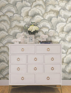 Abalone Fans Peel & Stick Wallpaer