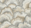 Abalone Fans Peel & Stick Wallpaer