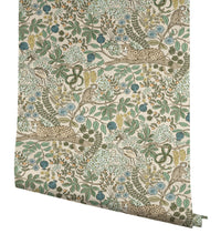 Load image into Gallery viewer, Safari