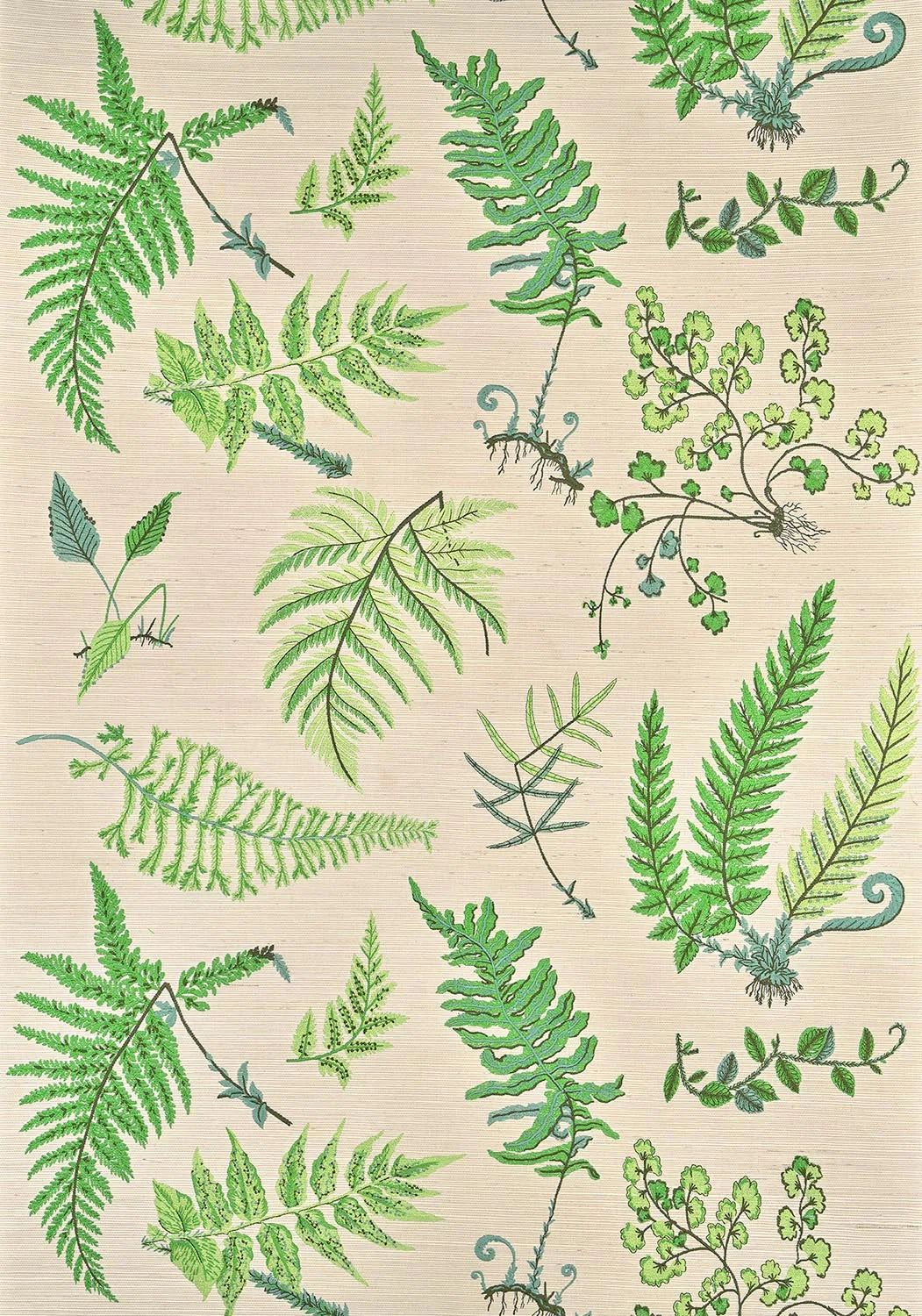 Botanique wallpaper in Printemps