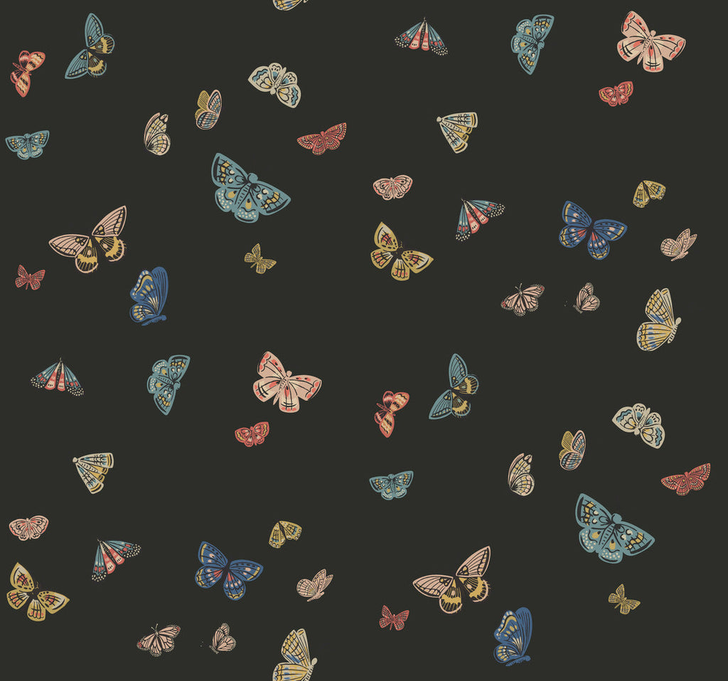 Butterfly House