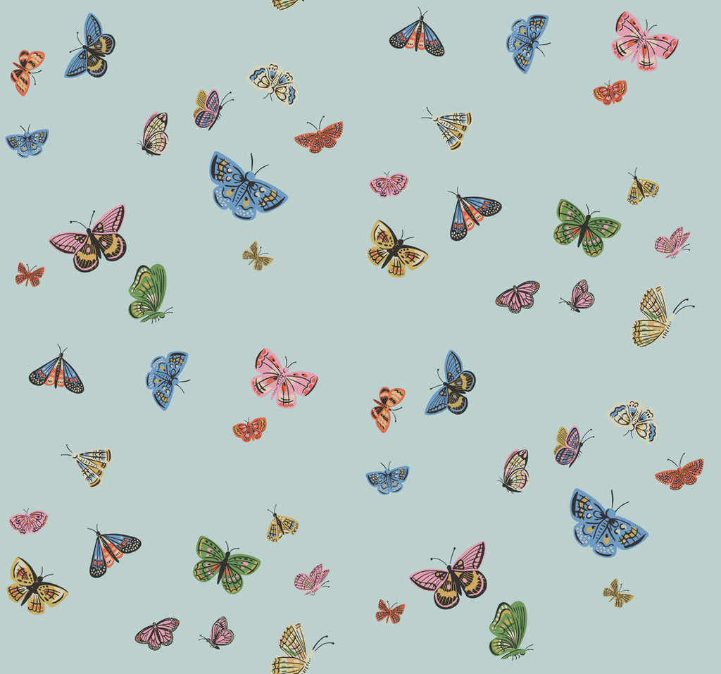 Butterfly House