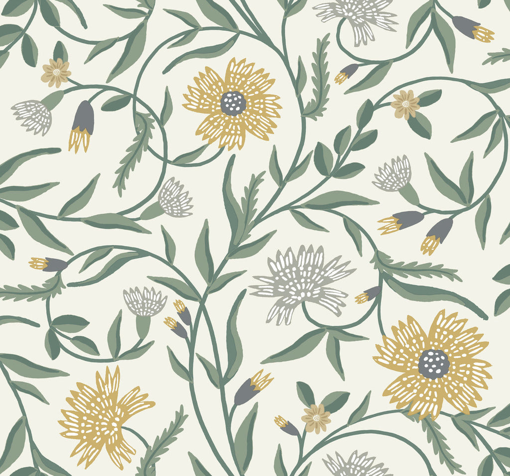 Aster