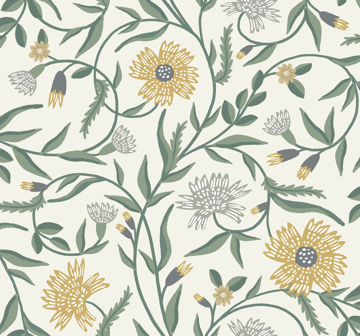 Aster