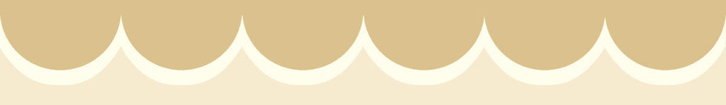 Scallop