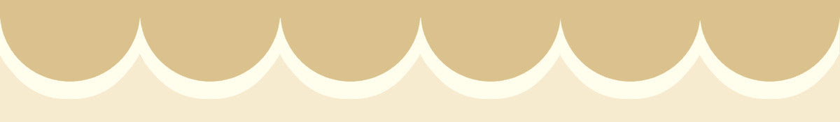 Scallop