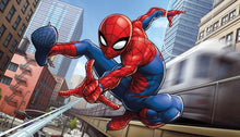 Load image into Gallery viewer, Marvel Spider-Man Peel &amp; Stick Wall Murals
