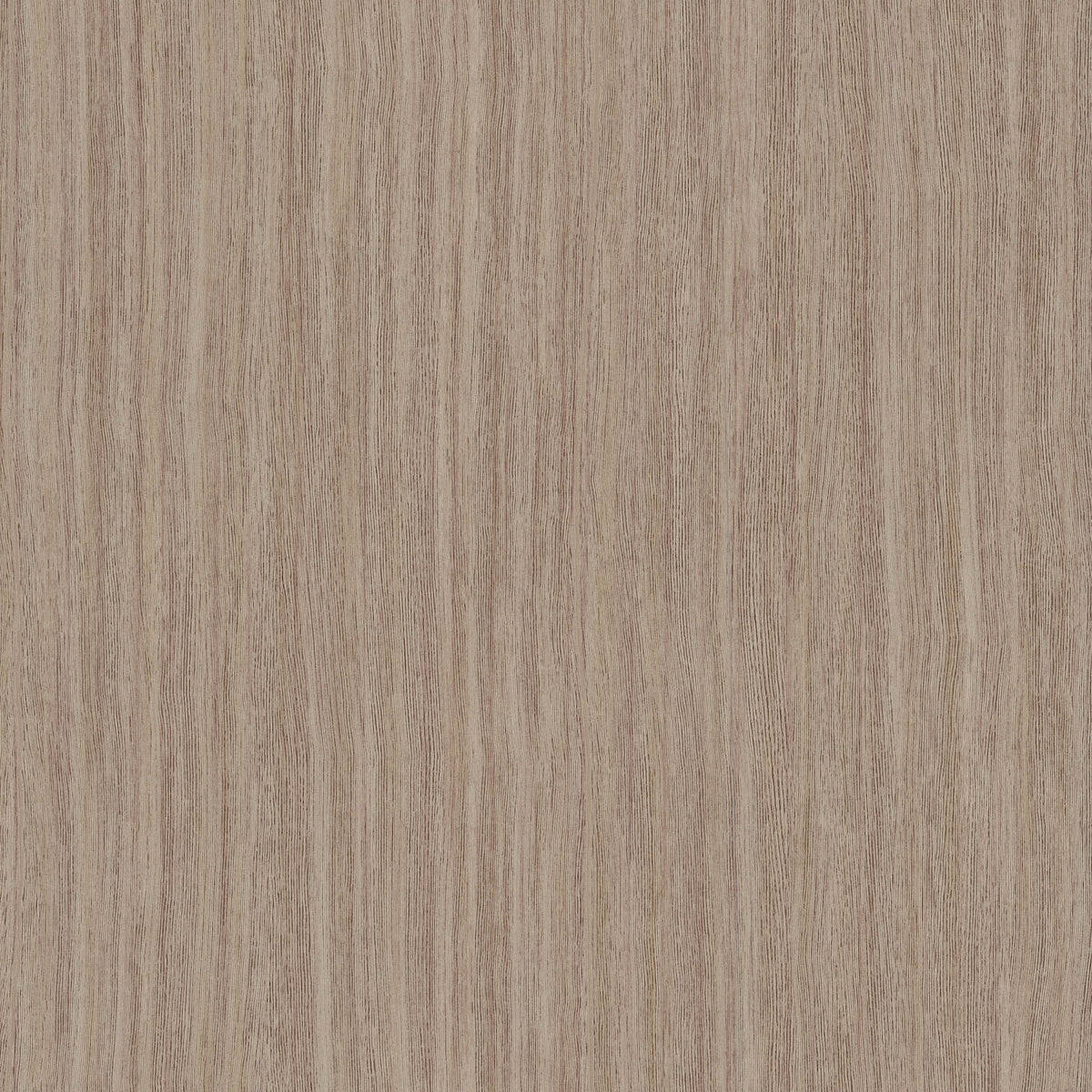 Wistman Stripe