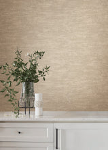 Load image into Gallery viewer, Weathered Stucco